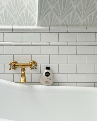 Silver Shampoo Purple Pure no. 24